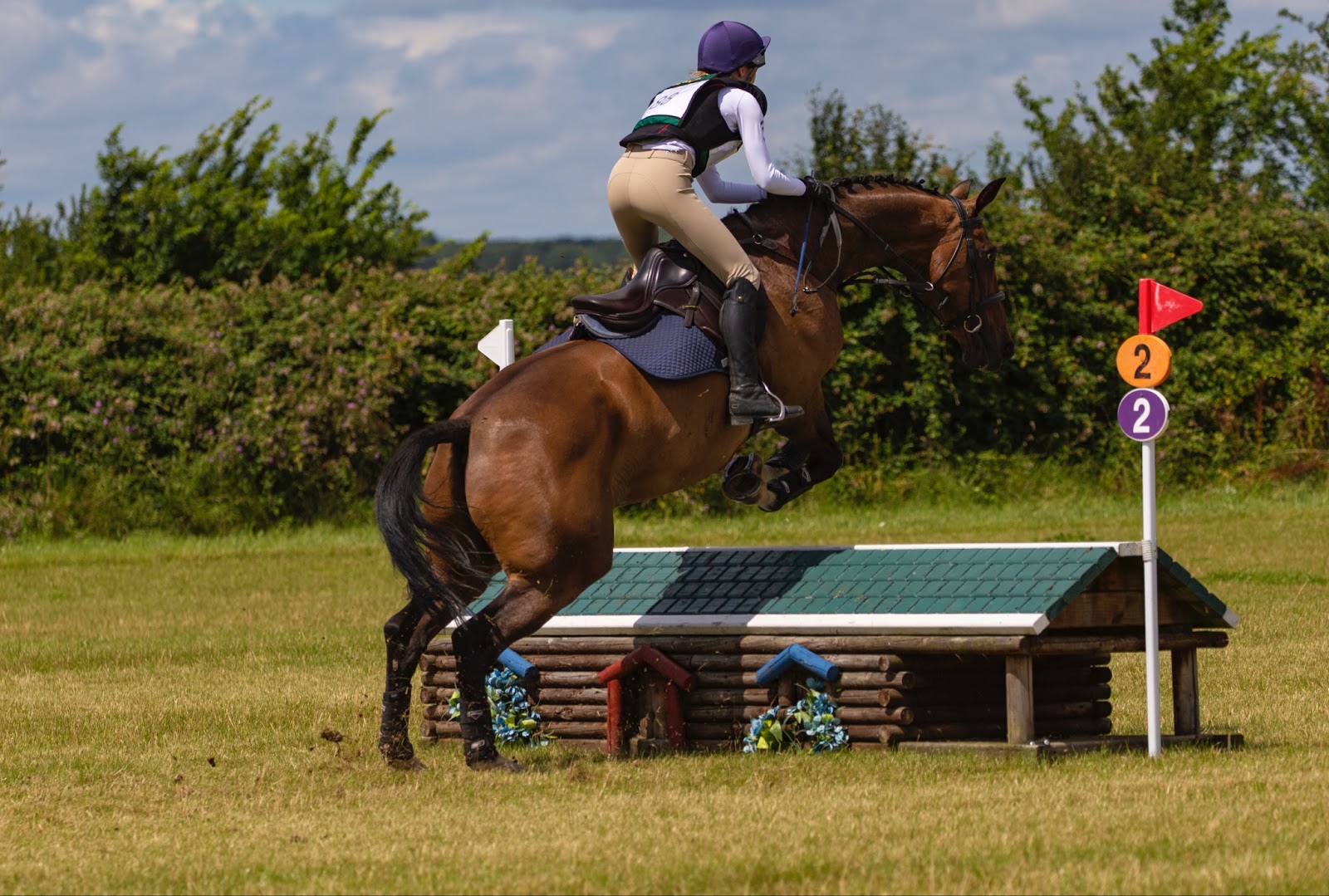 young rider jumps out of the saddle on a bay horse taking a small cross country fence