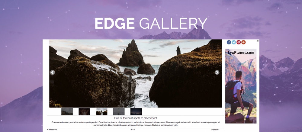 Baixe o plug-in da galeria do WordPress