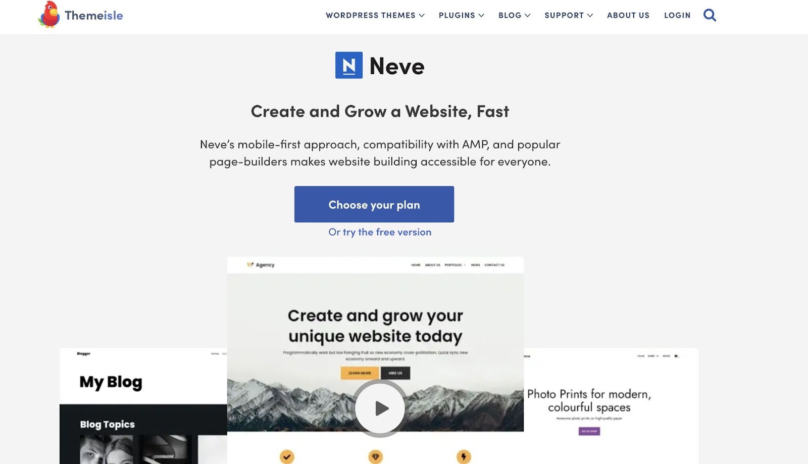 Best WordPress Themes: Neve
