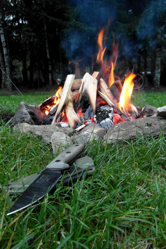 jgblaLOcs0M6-w_1pHiYLmGPfwu9R2LALwg3SJHsXeg=w533-h800-no