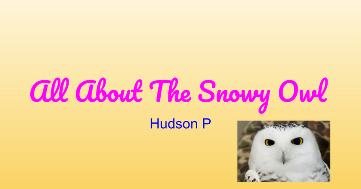 Copy of Hudson Pawlowski - Owl Final Product