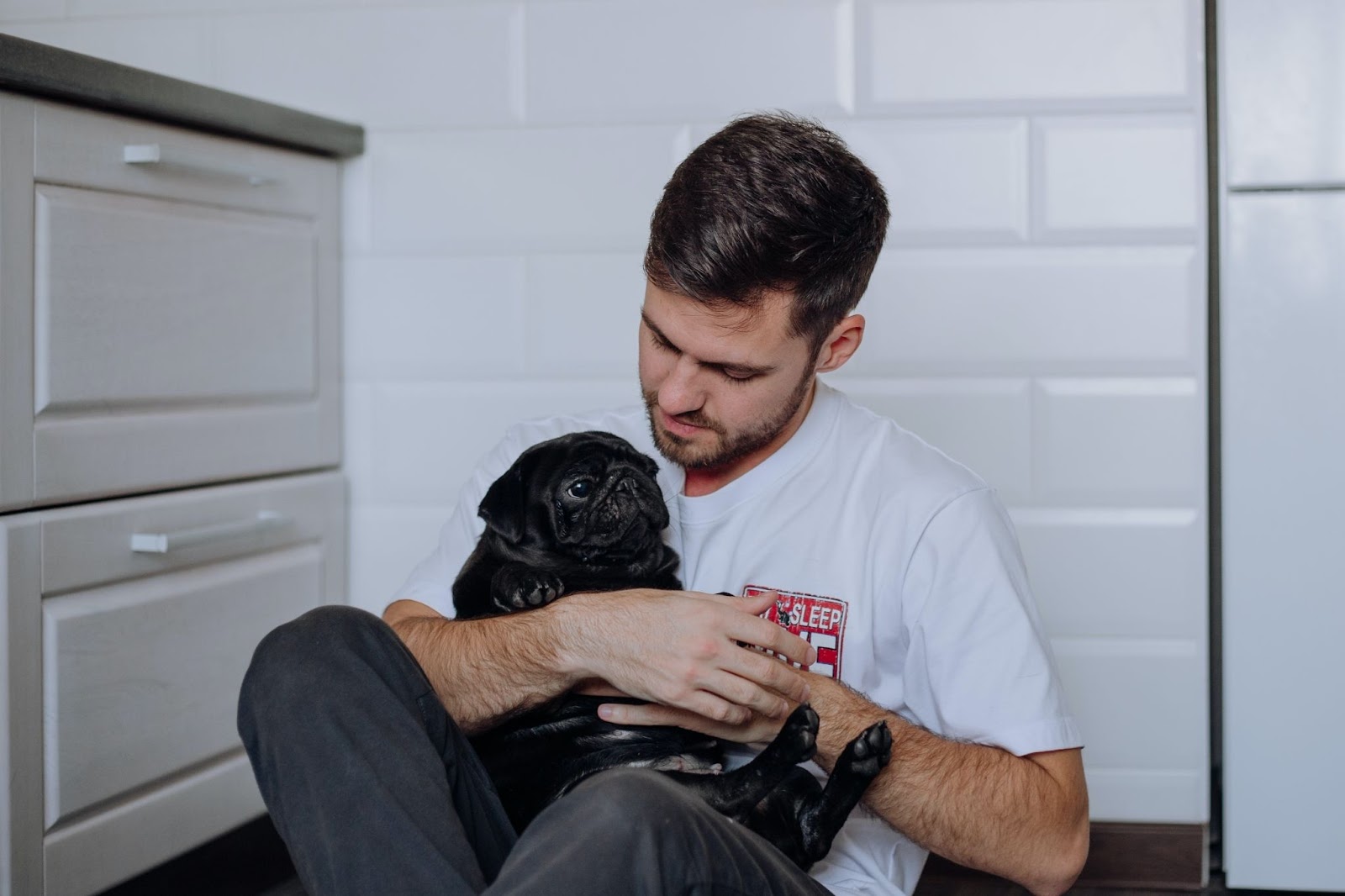 Adopting a Rescue Pug: What To Expect