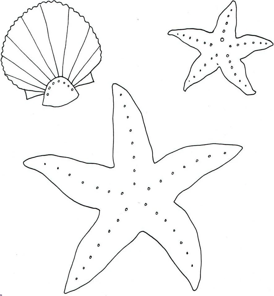 D:\0 wd yedek\acr yedek\1 film indirme\rospis_po_shelku_dosyalar\image451.jpg