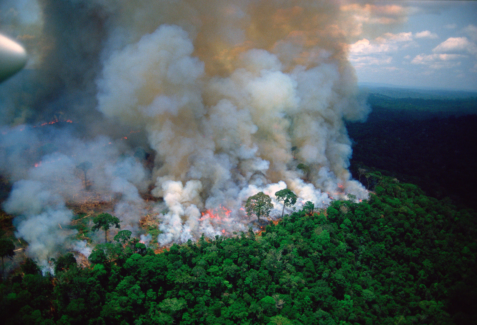 incendios-del-amazonas-brasil-gobierno-bolsonaro-