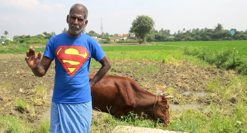 Selvaraj of Kuthambakkam village has not been affected by the ban. (Photo by Jency Samuel)