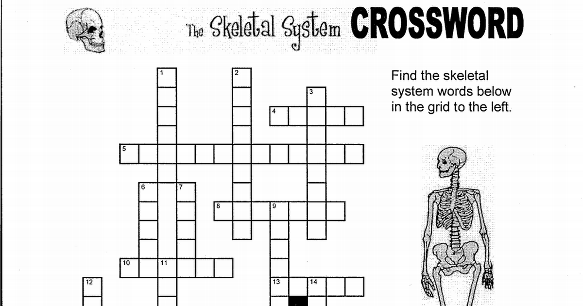 Skeletal System Crossword Puzzle.pdf Google Drive