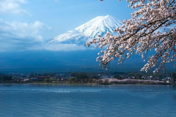 7 สถานที่ท่องเที่ยว รอบภูเขาไฟฟูจิ ไม่ต้องขอวีซ่า ไม่ต้องกักตัว ประเทศญี่ปุ่น 3