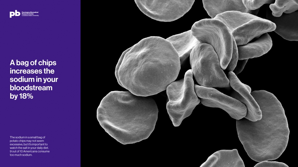 Pennington Biomedical Sodium Bloodstream