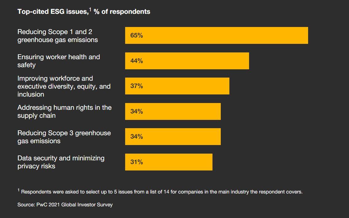 PwC 2021 Global Investor Survey top ESG issues.