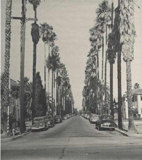 Los Angeles, Man Ray, 1940-1966