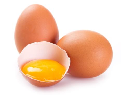 Pengertian Telur Struktur Telur Bagian Bagian Telur Pengertian Telur Struktur Telur Bagian Bagian Telur