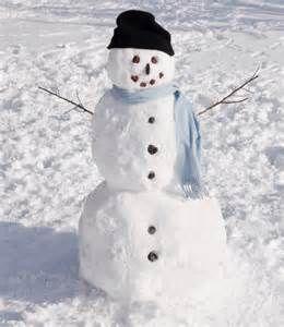 real snowman | Snowman, Snowman real, Frosty the snowmen