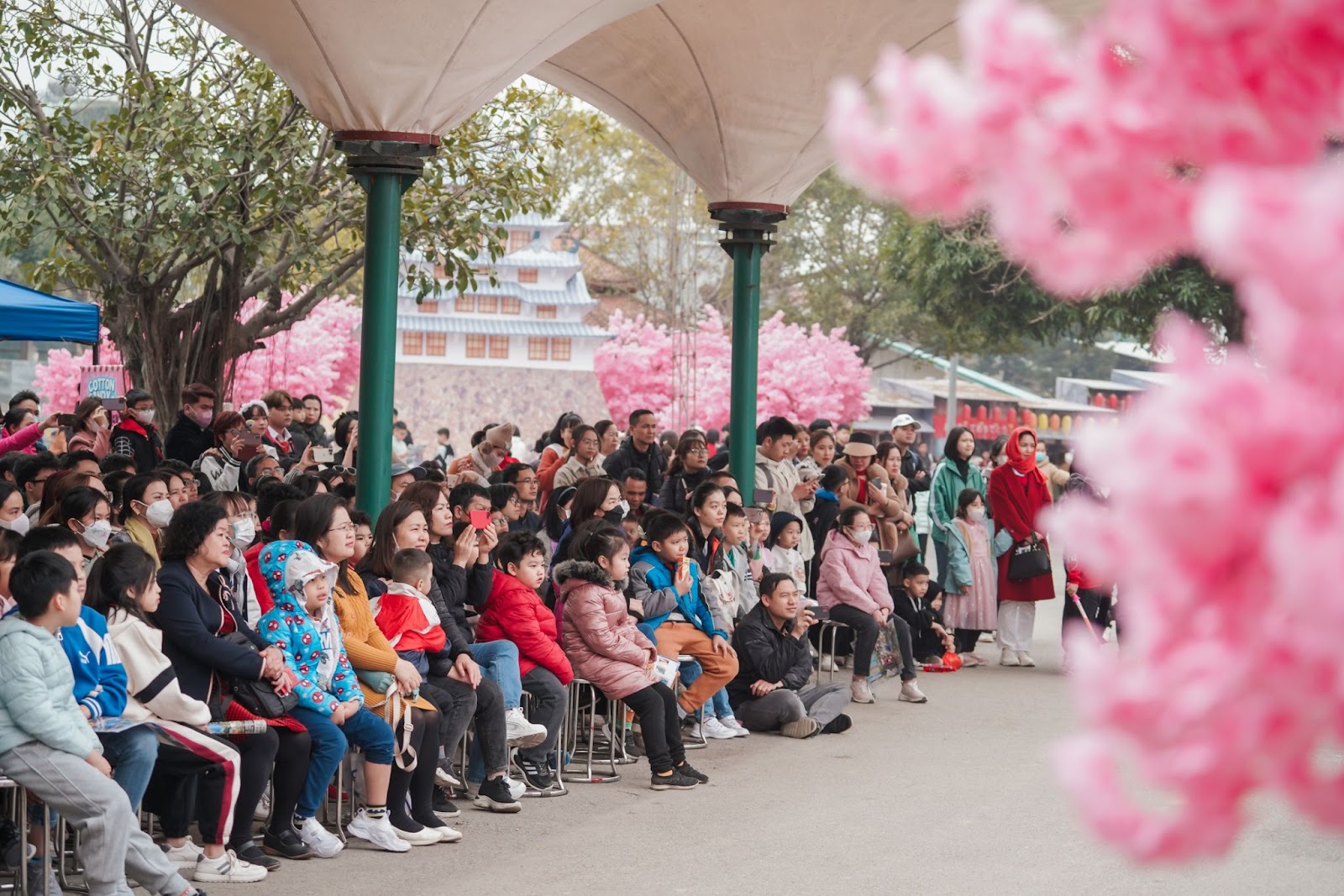 Hòa nhịp vũ hội Hanami sôi động