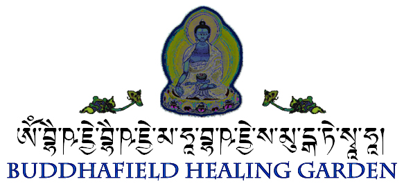 Buddhafield Healing Garden Medicine Buddha