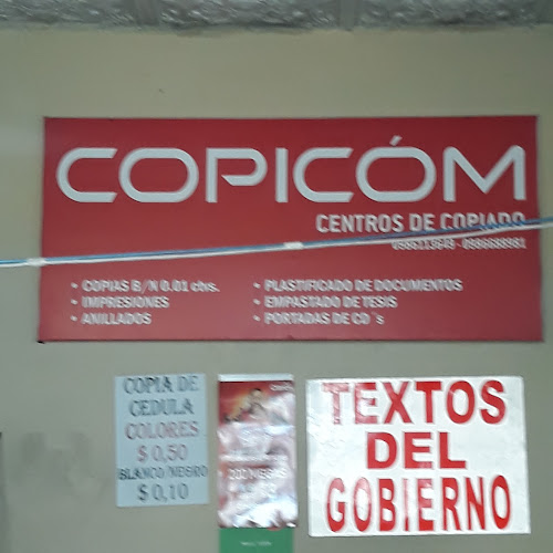 https://www.facebook.com/Copicom-382203795637695/?ref=page_internal