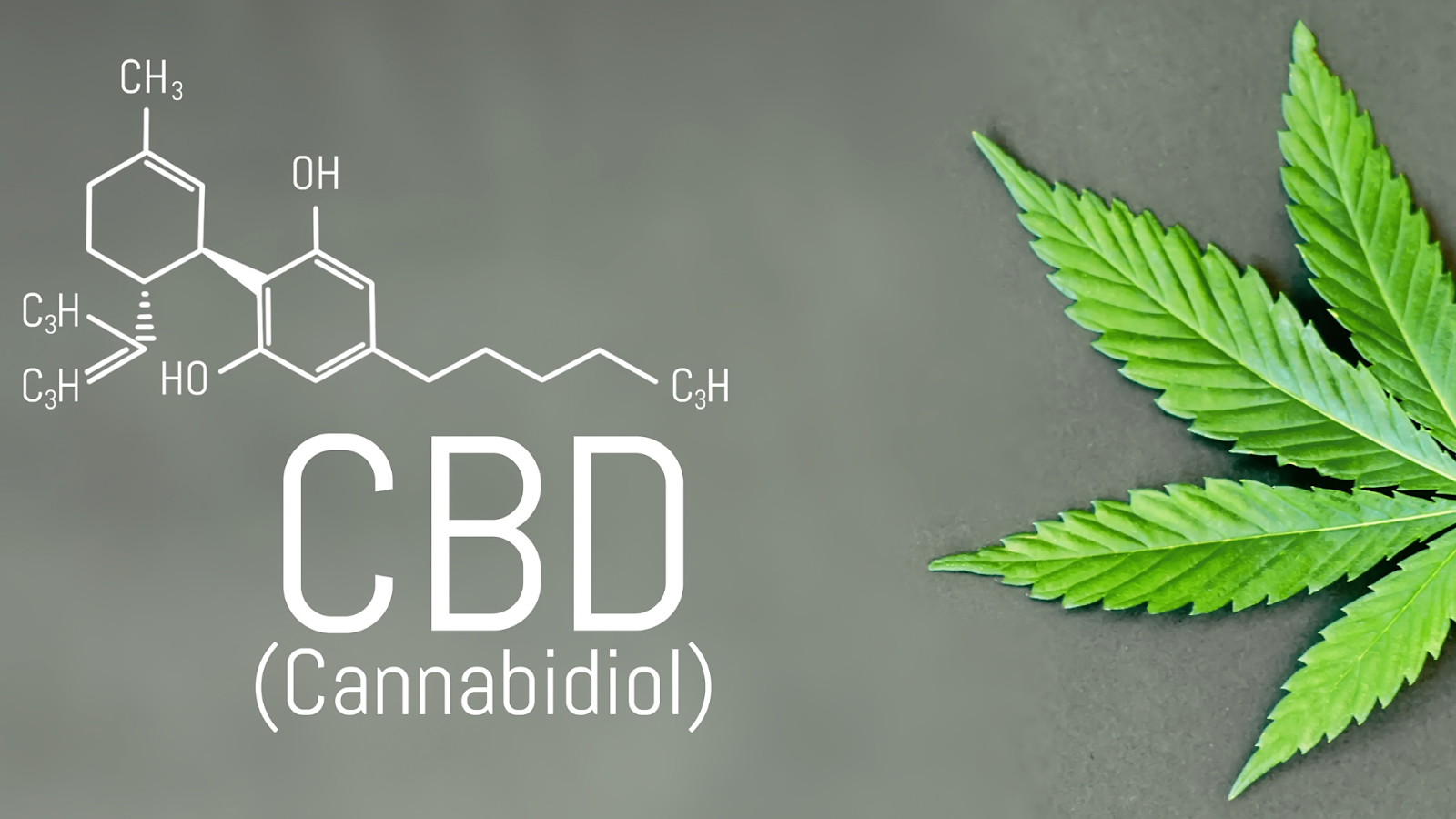 CBD Oil 