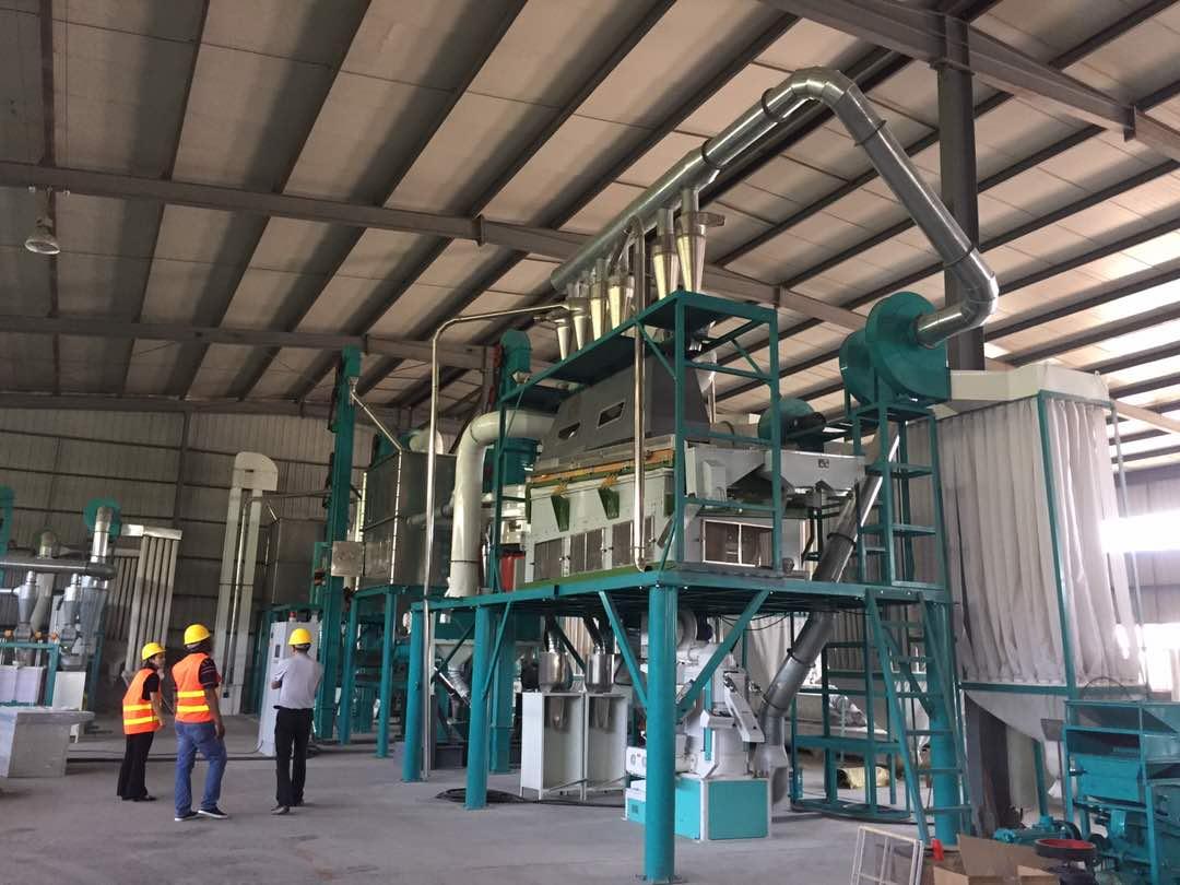 5t per hour maize mill in our factory