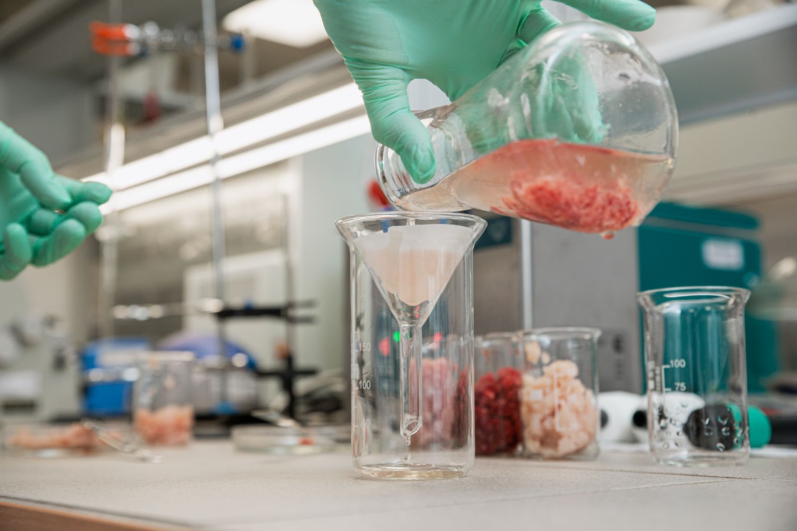 Лаборатория ВкусВилла подтвердила лицензию микробиологического отделения
