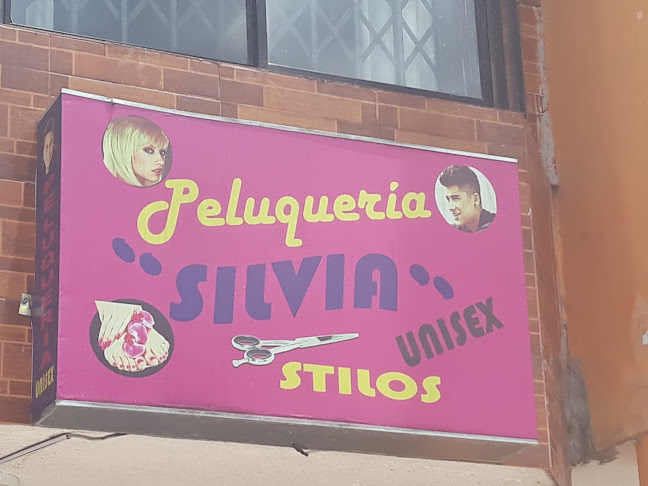 Spa y Peluquería Silvia Unisex - Peluquería