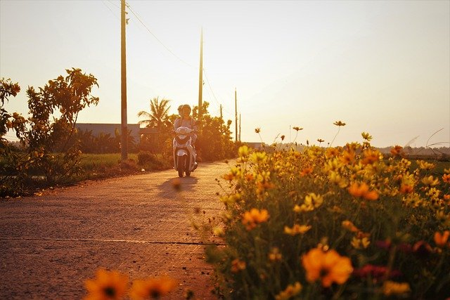 motorcycle, road, wildflowers, Motorcycle Safety Tips for Riding in Washington DC