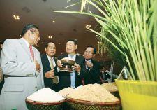 A government official examines rice at an agricultural exhibition.  