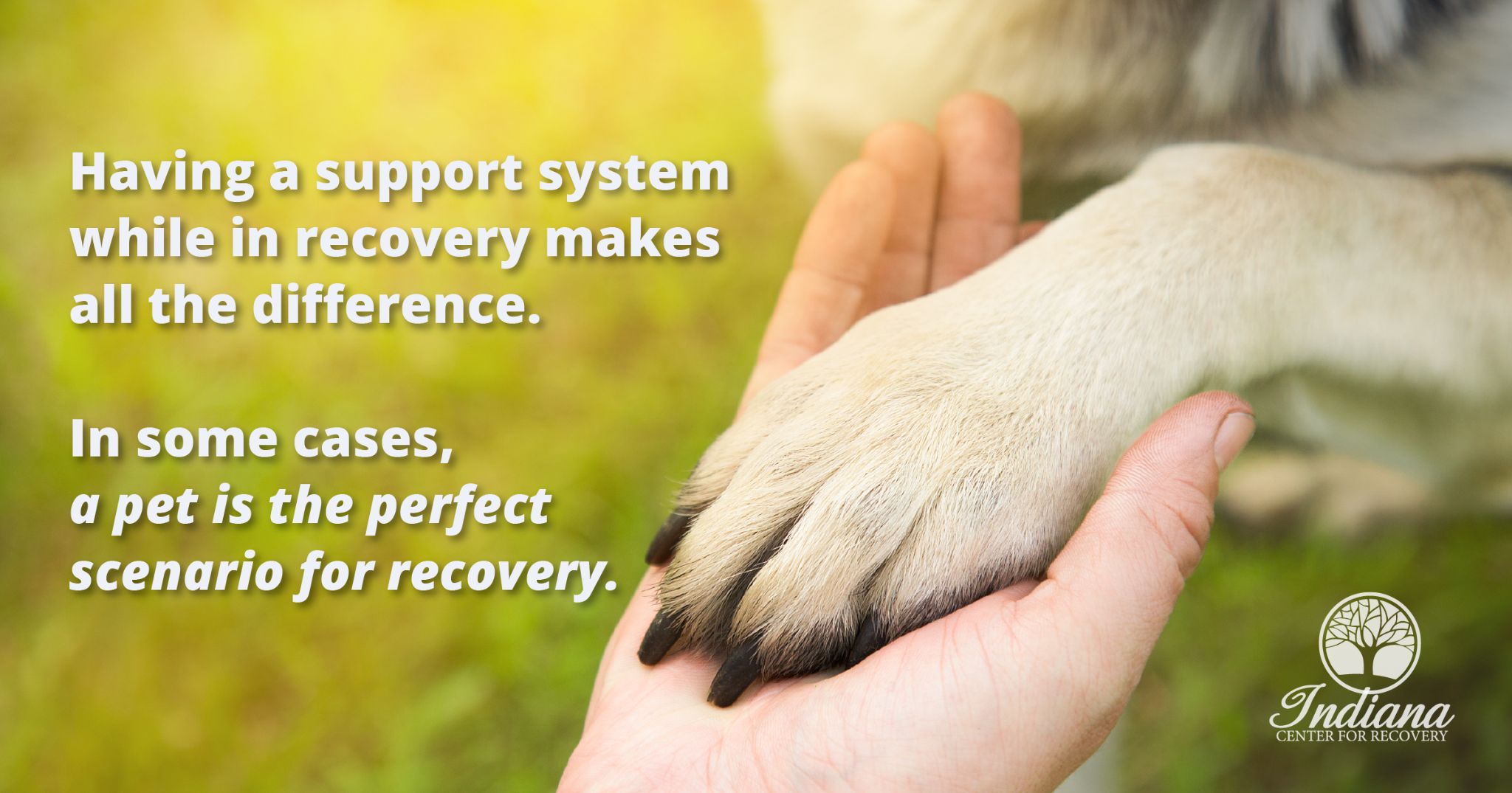 Having a support system while in recovery makes all the difference. In some cases, a pet is a perfect scenario for recovery.