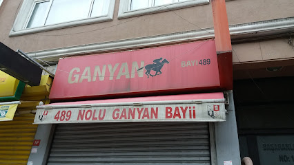 Ganyan Bayi 489