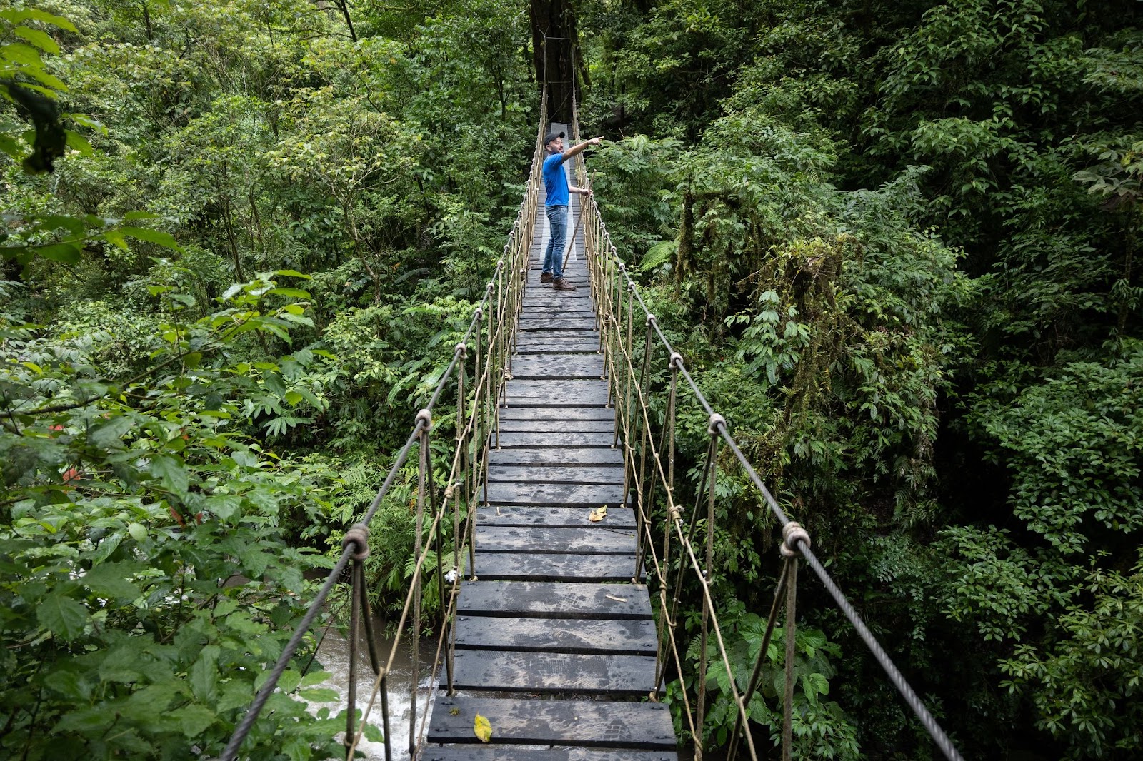 Puente colgante de Monteverde