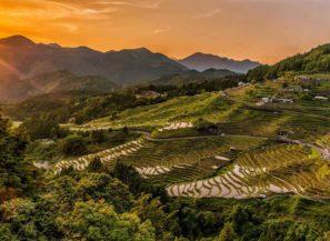 Feeding a Hungry Planet