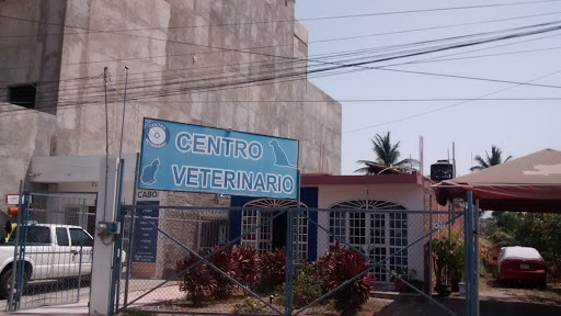 Centro Veterinario