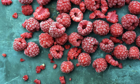 Картинки по запросу заморозка ягод производство