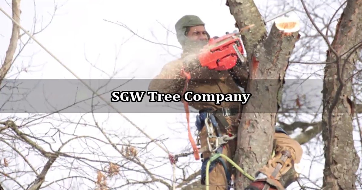 SGW Tree Company.mp4