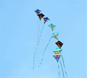 Katy ISD Spring Break | Katy Prairie Kite Flight