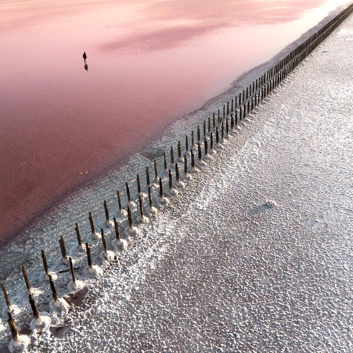 An image of a person wading through a salmon-pink salt lake, the shore is covered in white salt.