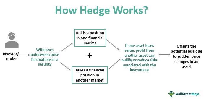 Hedge - Meaning, Strategies, Risks, Examples, How it Works?