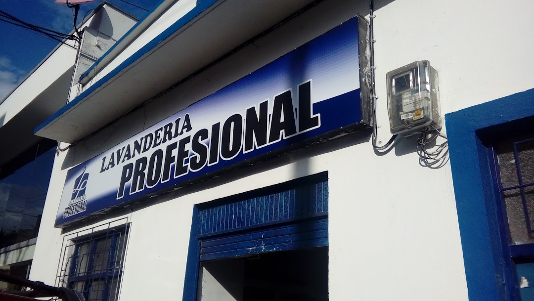 Lavanderia Profesional