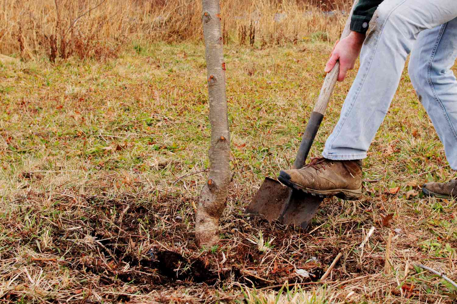 Digging