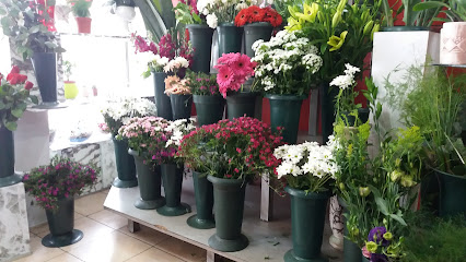 Naben Çiçekçilik-Naben Çiçek Galerisi