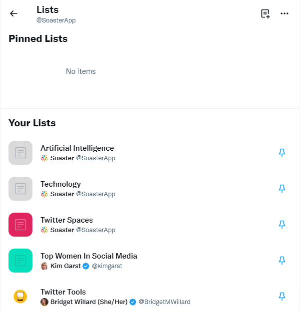 This image shows Lists section of a Twitter account.