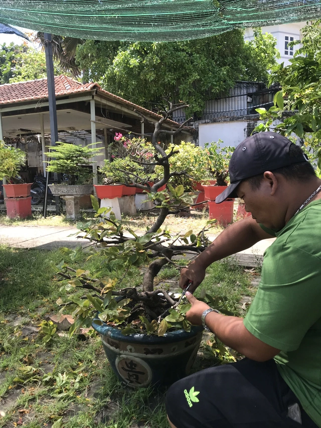 Hướng dẫn chi tiết cách bón phân cho mai sau Tết KXrXiqRKOqfPeji-Op0V-N66oyQ7KCA179FVtP4mLbT-7akWQ5tzUR47pkAr86h42S-XGIJcM7RQ_4jQ1HhkPtJoLaoEpibQzLYf-Yr2S18k0RTpvUCJonlqE2j9luBDypJoARw-hIyFb33vS6-QXg