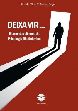 Deixa Vir - Ricardo Rego