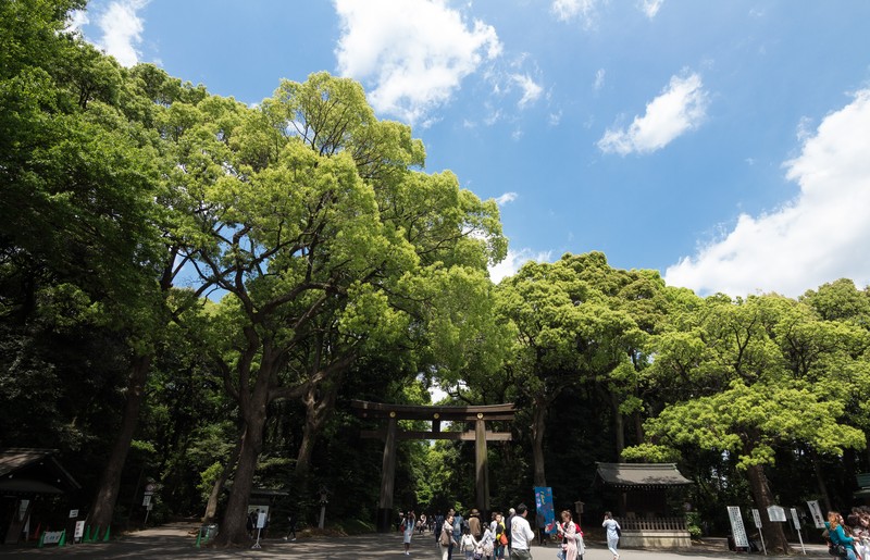 お宮参りに赤口はダメ いまどき六曜は気にした方がいいの