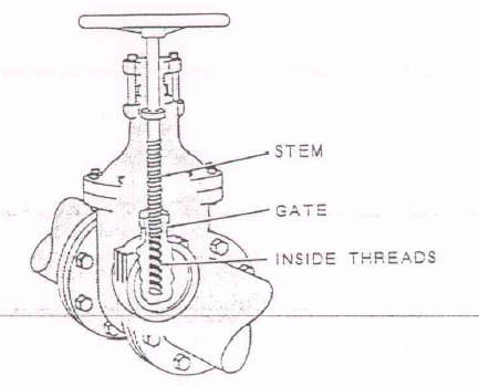 Stem Designs