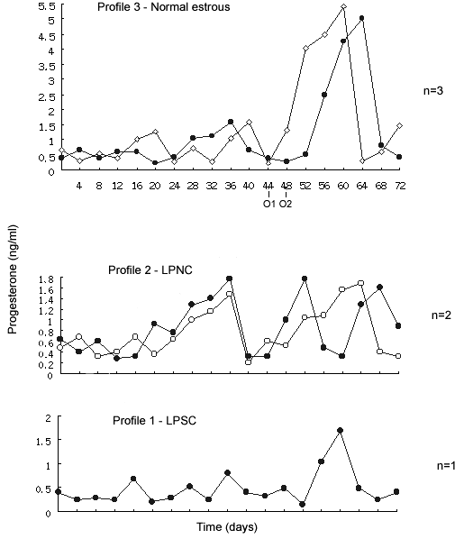 Patterns of plasma progesterone before and at the onset of puberty in Group III yak heifers (n=5). O1 equals day of estrus (n=14). O2 equals day of estrus (n=15). Time= each intervals represents 4 days (see text).