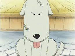 ChouChou