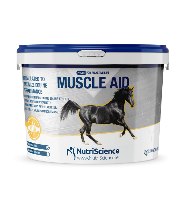 Muscle Aid Horse Supplement