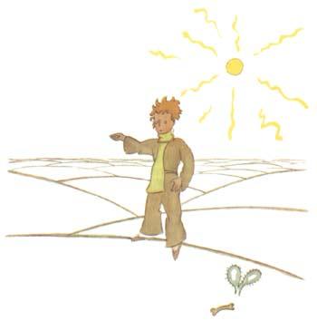 《小王子》