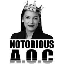 Image result for the notorious aoc