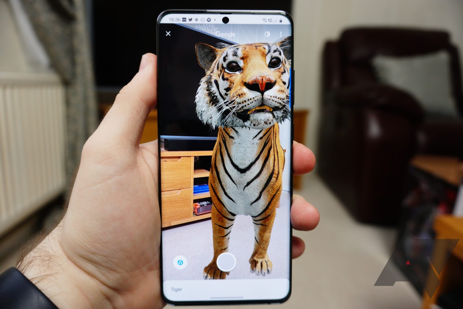 Play Tiger King at home with over 30 Google 3D animals