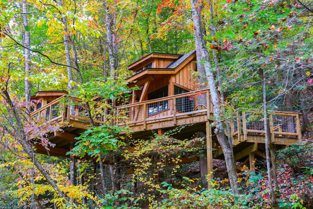 The Dogwood Treehouse - Luxury Treehouse Experience by Pete Nelson in Gatlinburg
